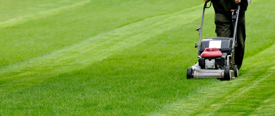 Lawn Mowing Services That Save You Time and Effort